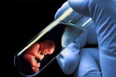embryos found in suitcase of man detained in cyprus airport 02