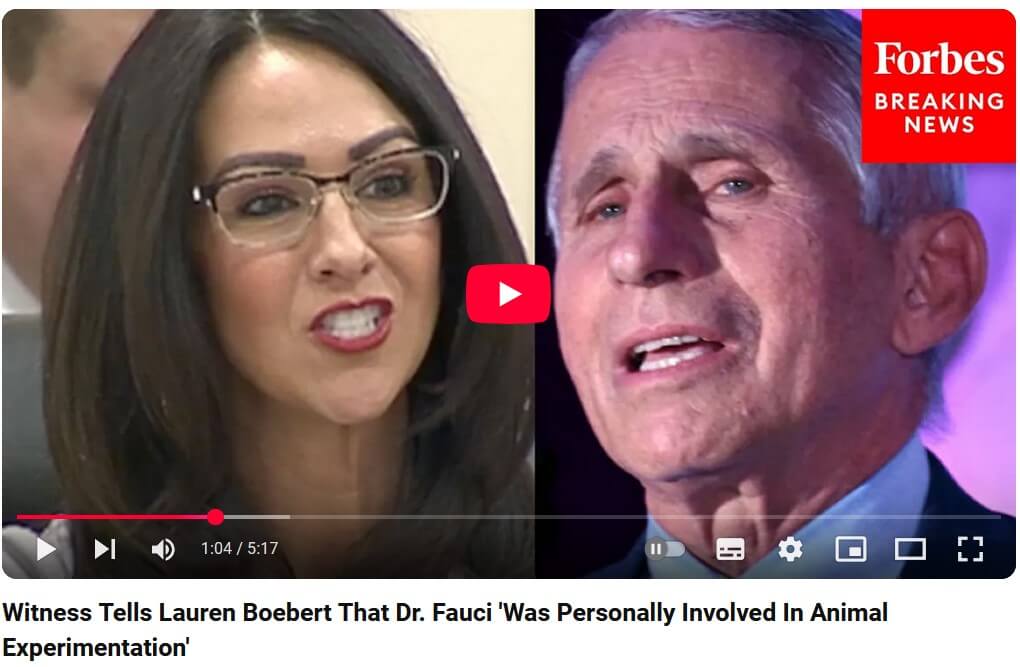 fetal tissue animals niaid 01