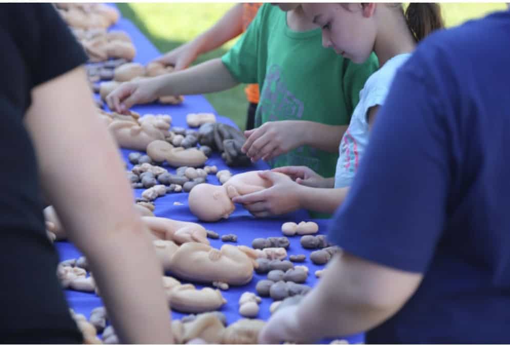 pro life group will display thousands of fetal models to mourn babies killed in abortions 03