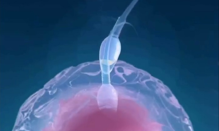 Η αρχή της ανθρώπινης ζωής!