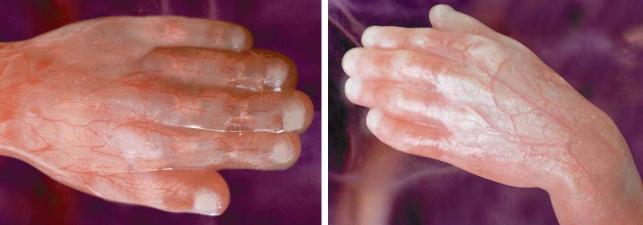 daktylika apotypomata 01