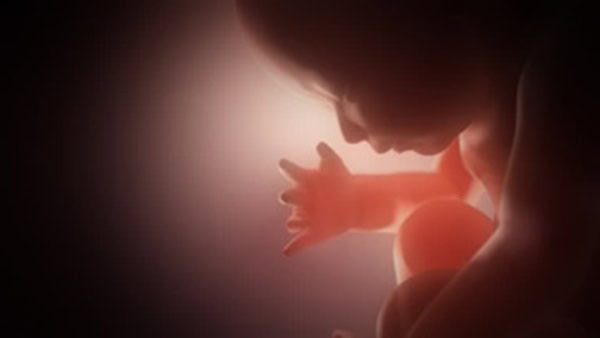 Δεξιόχειρας ή αριστερόχειρας;