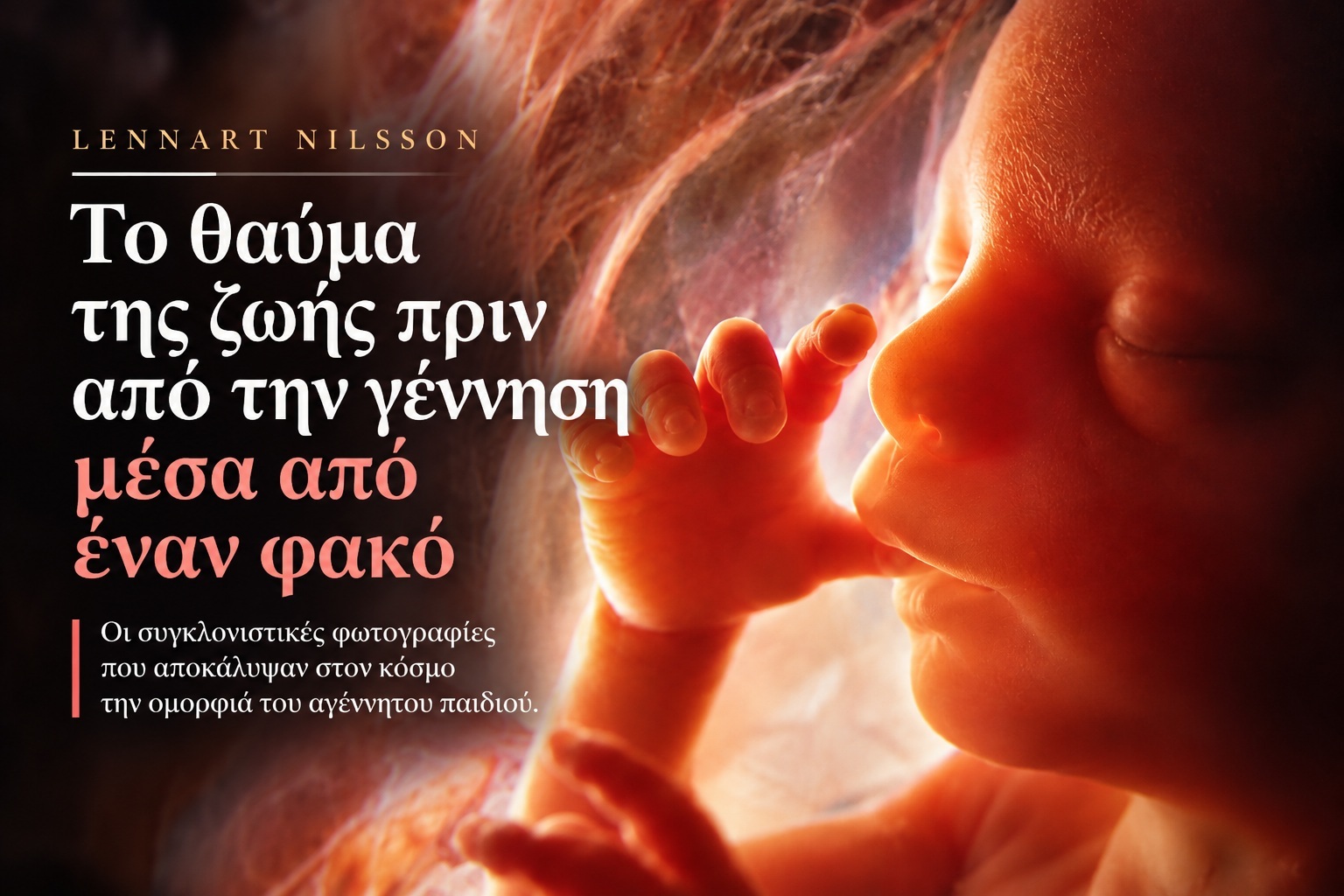 Το θαύμα της ζωής πριν από την γέννηση μέσα από έναν φακό