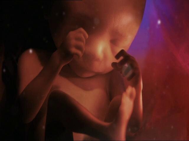lennart nilsson fetus photography 02