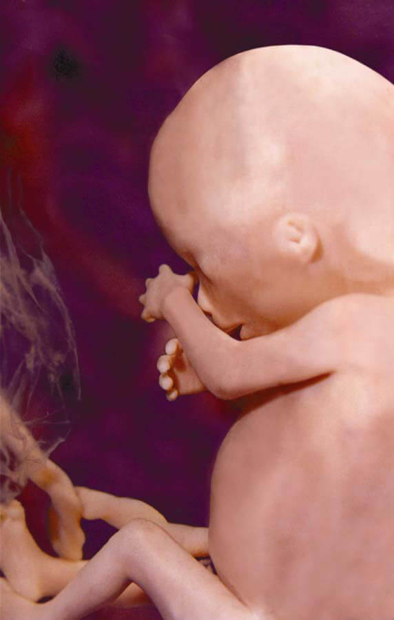 denmark expands abortion 02